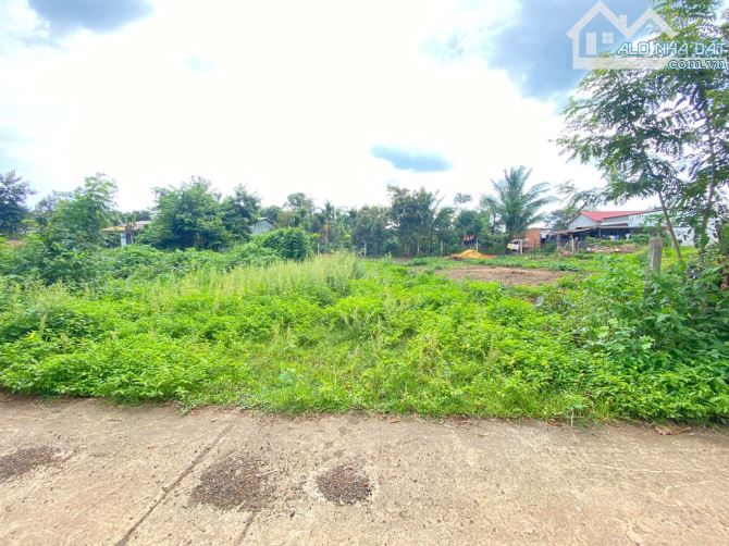Đất đối diện Kom Leo Farm Hoà Thắng hẻm Đại Lộ Đông Tây đi vào - 3