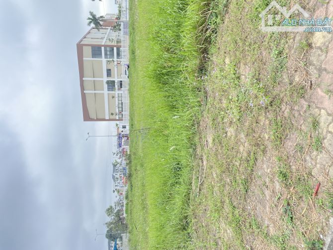 Cần Bán 300m2 Lô Góc Dự Án Anh Dũng 7 -Hải Phòng - 4