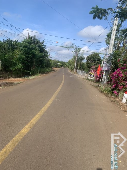 Bán đất xã Xuân bảo huyện Cẩm Mỹ tỉnh đồng Nai - 4