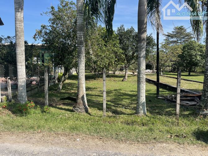 Chủ gửi bán đất xã TLT củ chi. Diện tích 270m2 thổ cư. Giá bán 2 tỷ 200 triệu có bớt. - 4