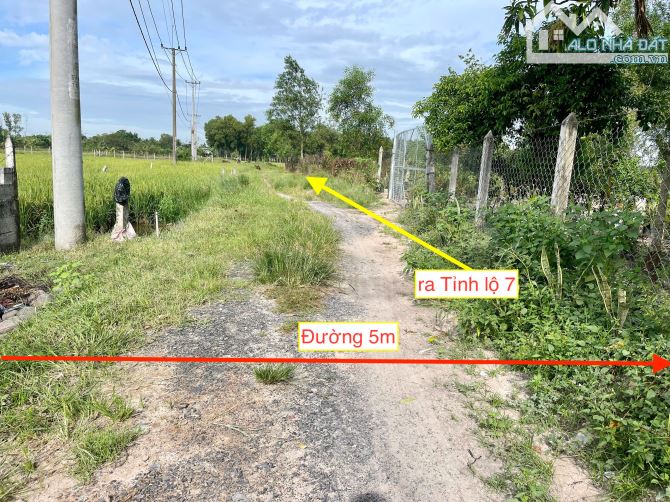 Bán đất vườn xã TLH củ chi. Diện tích 500m2 như sổ. Giá bán 1 tỷ còn thương lượng. - 4