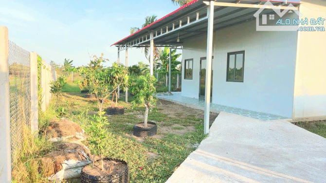 Siêu phẩm nhà vườn 500m2 View Sông cực đẹp - 4