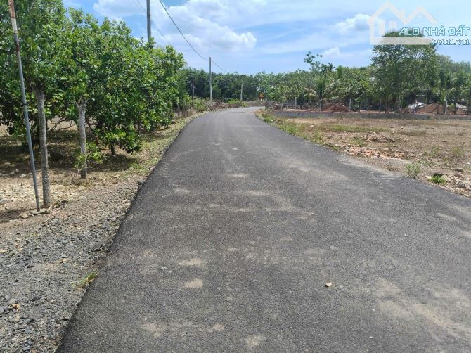 BÁN 1200M2 NGANG 40M, ĐƯỜNG NHỰA 6M THÔNG, KHU DÂN CƯ, CO 300TC GIÁ 1.5TI - 5
