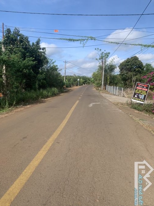 Bán đất xã Xuân bảo huyện Cẩm Mỹ tỉnh đồng Nai - 5