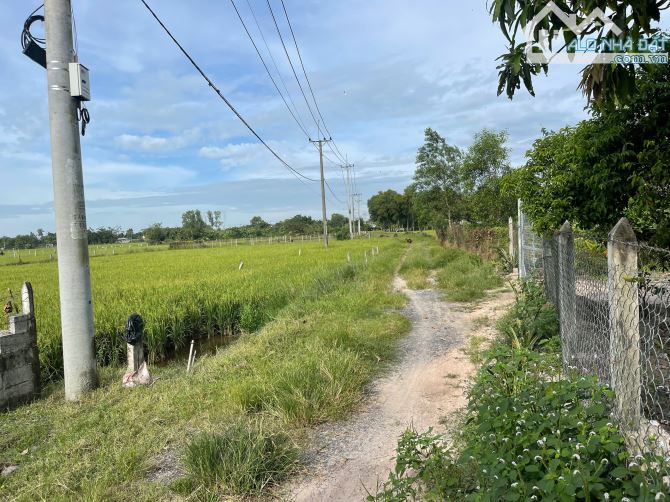 Bán đất vườn xã TLH củ chi. Diện tích 500m2 như sổ. Giá bán 1 tỷ còn thương lượng. - 5