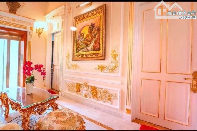 👑 Đẳng Cấp Thượng Lưu! Bán Biệt Thự dát vàng  quý tộc Nguyễn Đình Chiểu 312m² 4 Tầng - 5