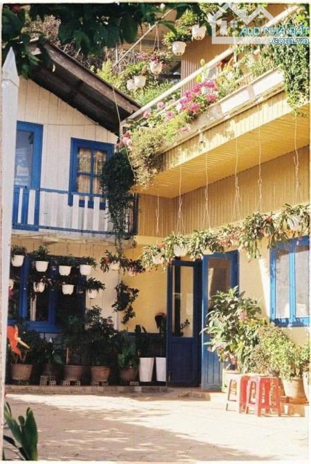 BÁN NHÀ PHƯỜNG 3 , CÓ THỂ LÀM HOME STAY   An Bình , P.3 DT :354m giá 9,5 tỷ - 5