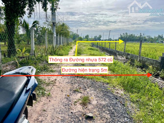 Bán đất vườn xã TLH củ chi. Diện tích 500m2 như sổ. Giá bán 1 tỷ còn thương lượng. - 6