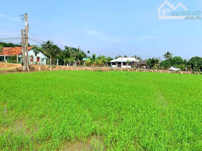 Siêu phẩm nhà vườn 500m2 View Sông cực đẹp - 6