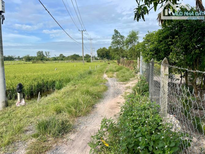 Bán đất vườn xã TLH củ chi. Diện tích 500m2 như sổ. Giá bán 1 tỷ còn thương lượng. - 7