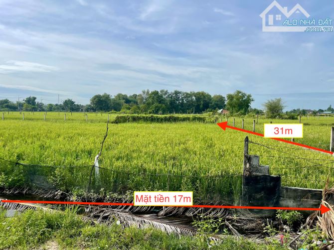 Bán đất vườn xã TLH củ chi. Diện tích 500m2 như sổ. Giá bán 1 tỷ còn thương lượng. - 8