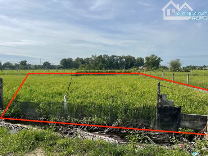 Bán đất vườn xã TLH củ chi. Diện tích 500m2 như sổ. Giá bán 1 tỷ còn thương lượng. - 9