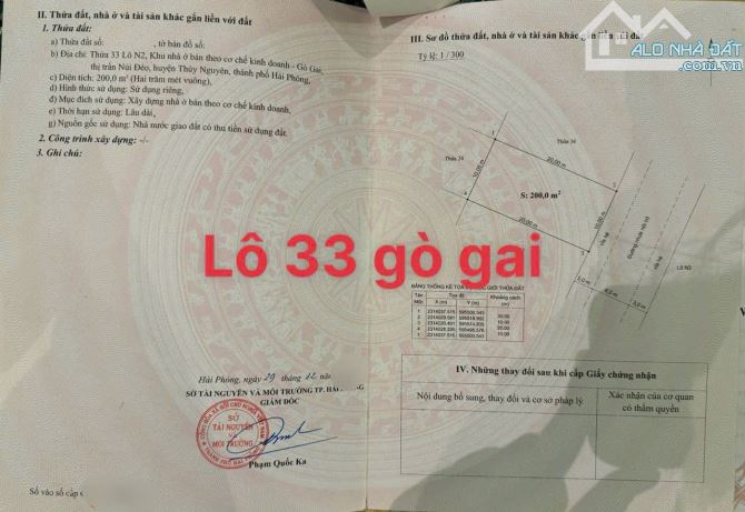 Biệt thự 200m Gò Gai vị trí vàng kinh doanh ăn uống của tt Núi Đèo Thuỷ Nguyên Hải Phòng - 2