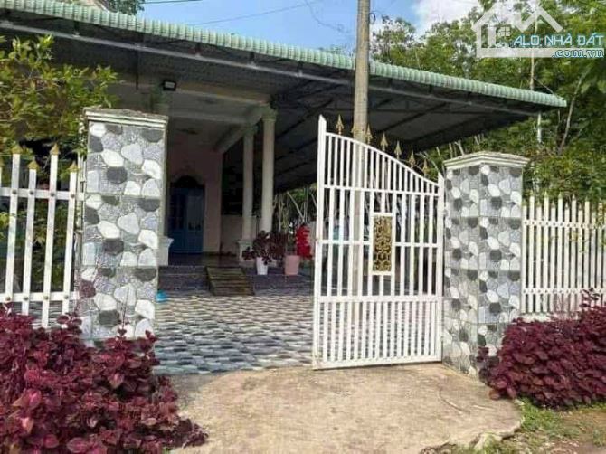 Dầu Tiếng- Bán đất tặng căn nhà cấp 4 còn mới