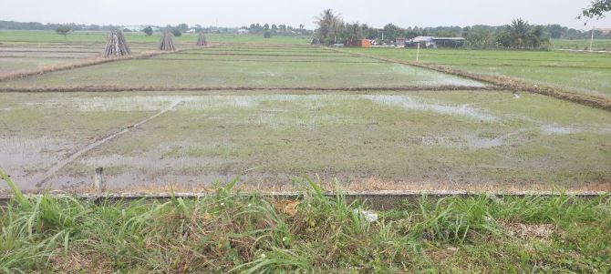 Đất chính chủ tại xã Phước thạnh Huyện Củ chi