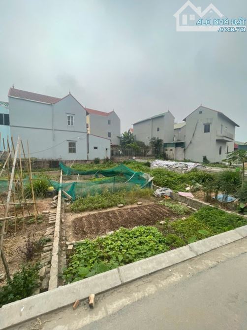 VỠ NỢ  - CẦN BÁN GẤP ĐẤT TRÂU QUỲ, GIA LÂM - NGÕ RỘNG THÊNH THANG - 62 - HƠN 3 Tỷ