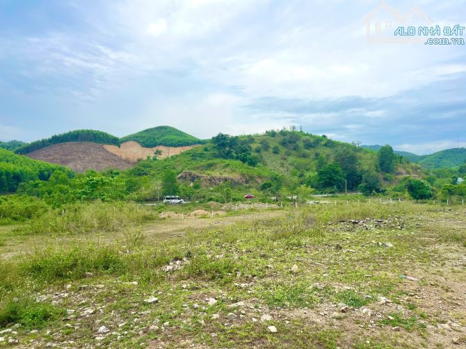 Bán đất 5.600m2 tổ 5 thị trấn Khánh Vĩnh - 1