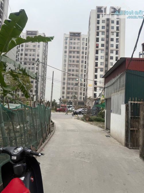 Cần bán lô đất ngõ phố Lý Quốc Bảo Tp Hải Dương - 1