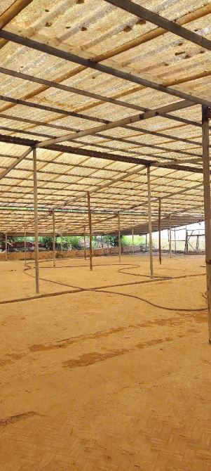 Xt266 cho thuê nhà xưởng khuôn viên độc tiếp nhận nhiều ngành nghề - 1