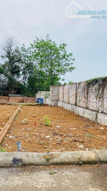 Bán 66,6m khu phân lô Cánh Chủ, Bình Yên, Thạch Thất, Hà Nội - 1