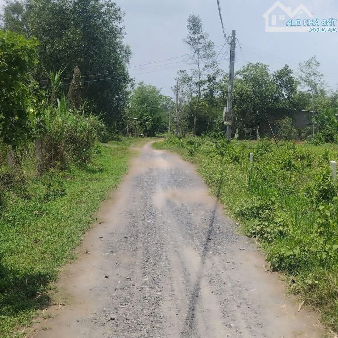 BÁN ĐẤT VƯỜN NGANG 10 DÀI 56 PHÙ HỢP LÊN THỔ SHR 700 TRIỆU GIA LỘC TRẢNG BÀNG - 1