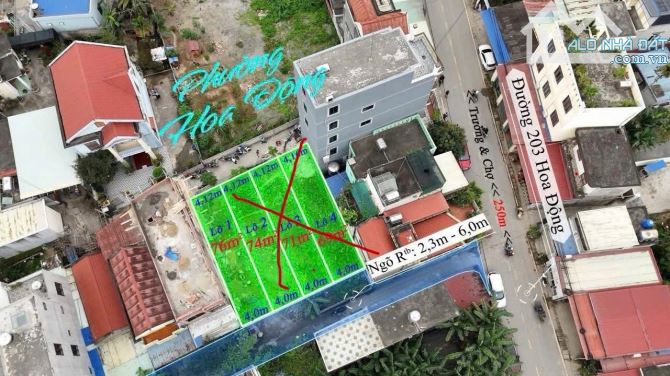 ‼️Bán gấp lô đất 76.8m2 tại Hoa Động - Thuỷ Nguyên✅cách đường 203 20m 👉 giá 1,9xx tỷ - 1