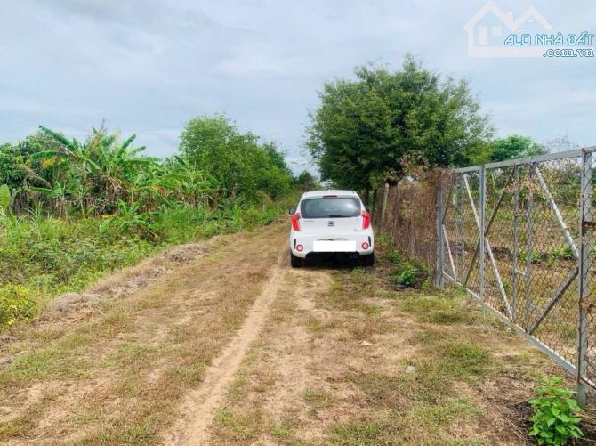 Bán đất tại Long Tân, Diện tích: 1000m2, giá bán: 950triệu Huyện Đất Đỏ - 1