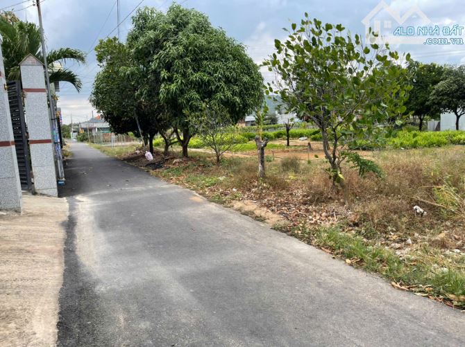 Bán 110m2 thổ cư Tân Hải, Phú Mỹ, Bà Rịa Vũng Tàu chỉ hơn 1 tỷ - 1