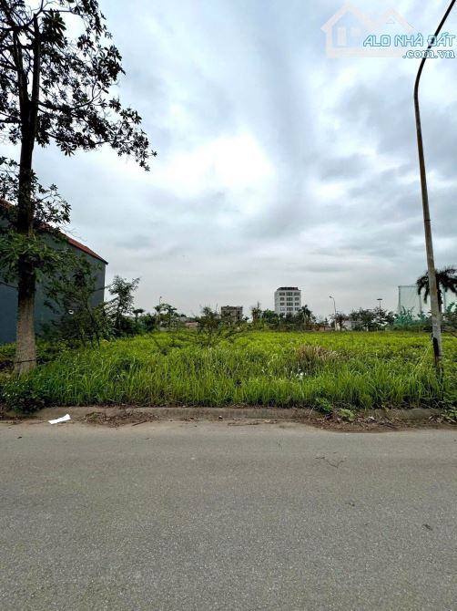 Bán lô biệt thự Anh Dũng 5 180m2 đường 18 mét - 1