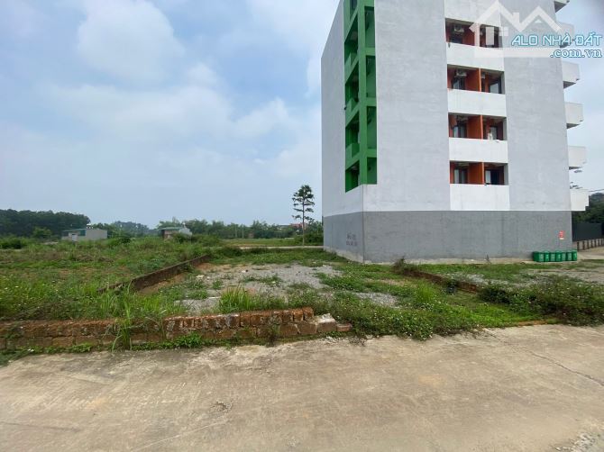 Hơn 160m sau siêu thị đức thành chủ cần tiền bán rẻ hơn thị trường 10 giá - 1