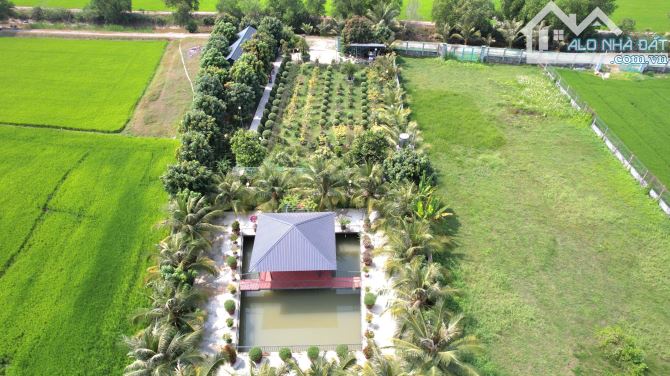 Khu vườn bình yên - Chốn an cư lý tưởng tại Đức Hòa Long An - 1