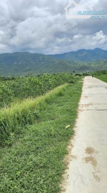 🔥 BÁN ĐẤT GIÁ RẺ TẠI NINH TÂY – NINH HÒA – KHÁNH HÒA 🔥 - 1