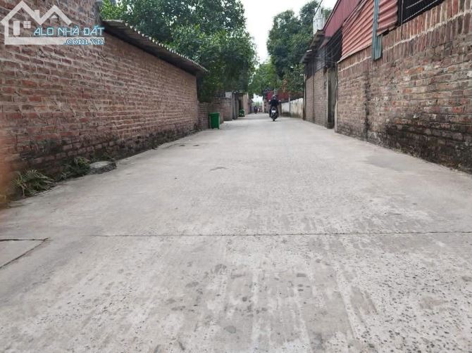 💥MỞ BÁN HOA HẬU ĐÔNG LAI, QUANG TIẾN, SƠN SƠN. GIÁ CHỈ 2.X TỶ - 2