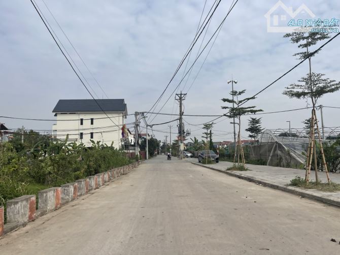 Bán 80m đất tái định cư Ngọc Động, cạnh Vinsafari giá tốt để đầu tư tháng 5 / 2025 - 2