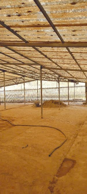 Cho thuê xưởng  và khuân viên đất tổng DT 17.000m² giá  chỉ 50 triệu/1 tháng - 2