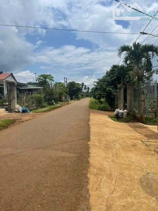 1,3 SÀO VIEW RUỘNG HỒ , TRƯỚC MẶT LÀ ĐẦM SEN … - 2