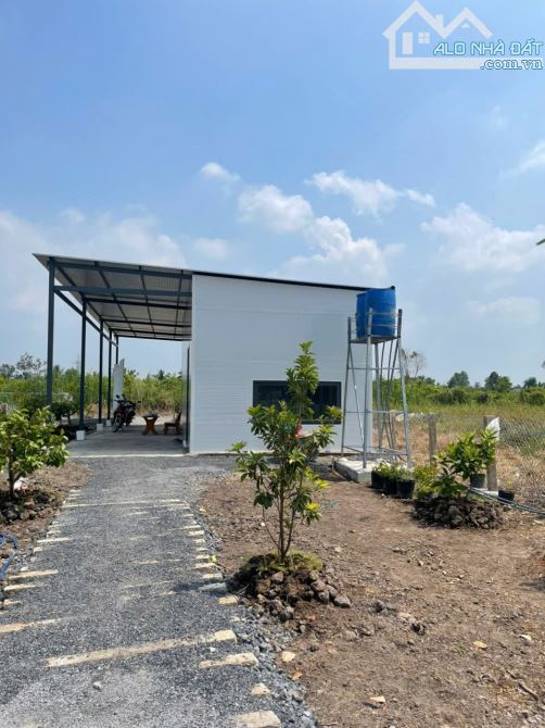 Nhà vuờn 500m2 bình đức_bến lứcLong An 899 triệu Đường ôtô sát vành đai rẻ - 2