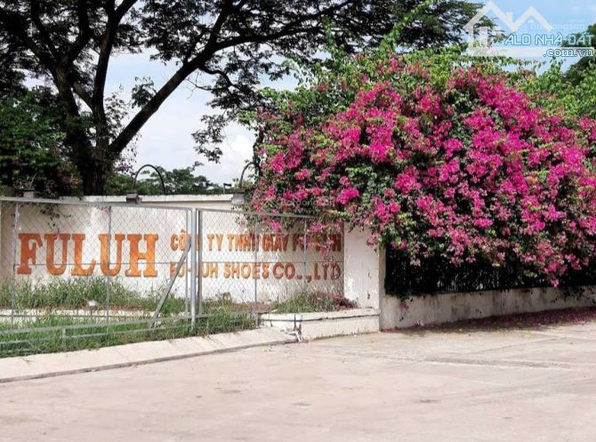 Định cư NN cần bán gấp 600m2 full thổ cư mặt tiền đường nhựa Long Phú, thị trấn Cần Giuộc - 2
