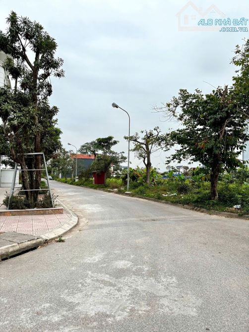 Bán lô biệt thự Anh Dũng 5 180m2 đường 18 mét - 2