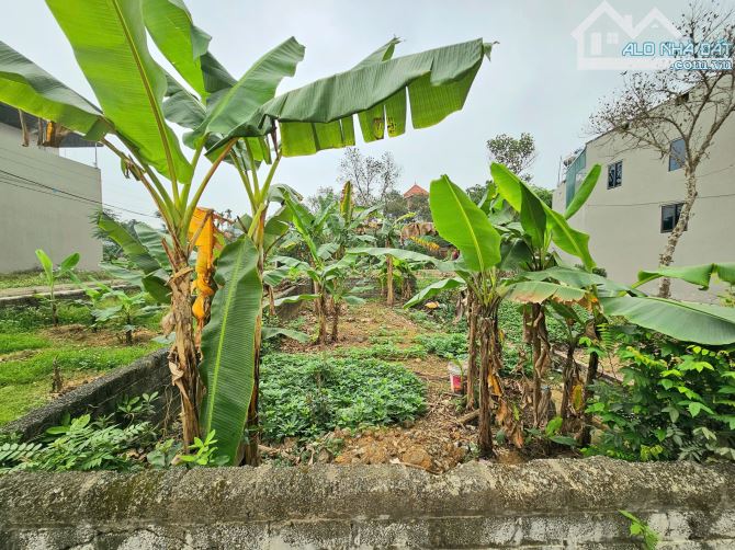 Cần bán lô đất siêu đẹp tại Thôn 7, Tân Xã – Hòa Lạc - 2