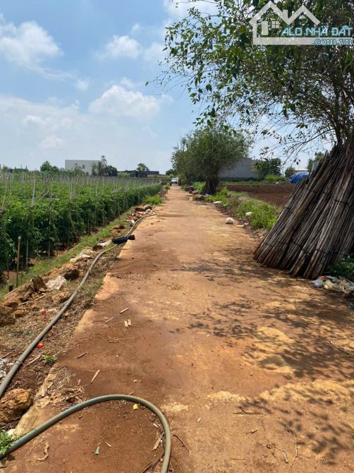 BÁN 380,4m2 TỔ 34 ĐƯỜNG LÊ HỒNG PHONG NỐI DÀI - THỊ TRẤN LIÊN NGHĨA -ĐỨC TRỌNG -LÂM ĐỒNG - 2