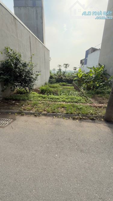 🏡 SIÊU PHẨM 2 LÔ ĐẤT ĐẸP – NGÕ 33 PHÚC THÀNH, BIÊN GIANG, HÀ ĐÔNG 🏡 - 2