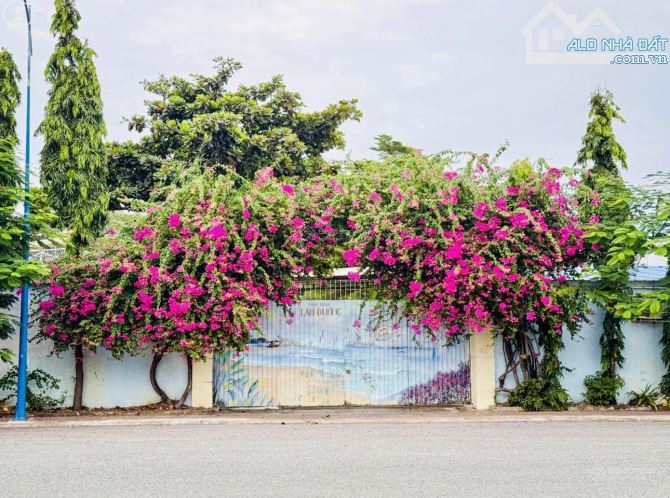 BÁN ĐẤT MẶT TIỀN NGUYỄN HỮU TIẾN SÁT BIỂN BÃI SAU TP. VŨNG TÀU 200M2(6,8X30M) GIÁ 11,55 TỶ - 2