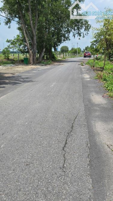 1 mẫu đất ngay ngã tư Nhuận Đức, Củ Chi, giá 2,5tr/m2. - 2
