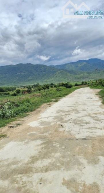 🔥 BÁN ĐẤT GIÁ RẺ TẠI NINH TÂY – NINH HÒA – KHÁNH HÒA 🔥 - 2