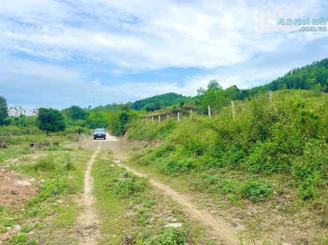 Bán đất 5.600m2 tổ 5 thị trấn Khánh Vĩnh - 3