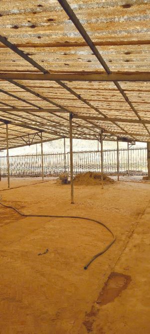 Xt266 cho thuê nhà xưởng khuôn viên độc tiếp nhận nhiều ngành nghề - 3