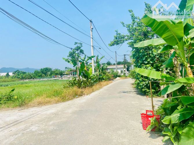 🌟 SỞ HỮU NGAY CẶP SINH ĐÔI HOA HẬ TẠI KQH LA CHỮ – GIÁ CHỈ TỪ 1 TỶ 2XX TRIỆU/LÔ 🌟 - 3