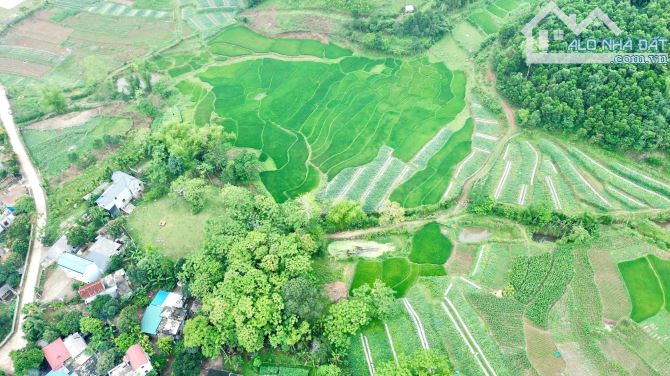 1100m Có 200m Đất Ở - Cách Đường Liên Kết Hà Nội - Kim Bôi 500m - View Cánh Đồng - 3