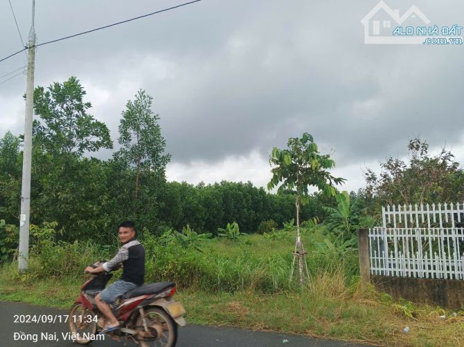 Mặt tiền 761 xã Phú Lý , dt 15x70 sr thổ cư 300m - 3